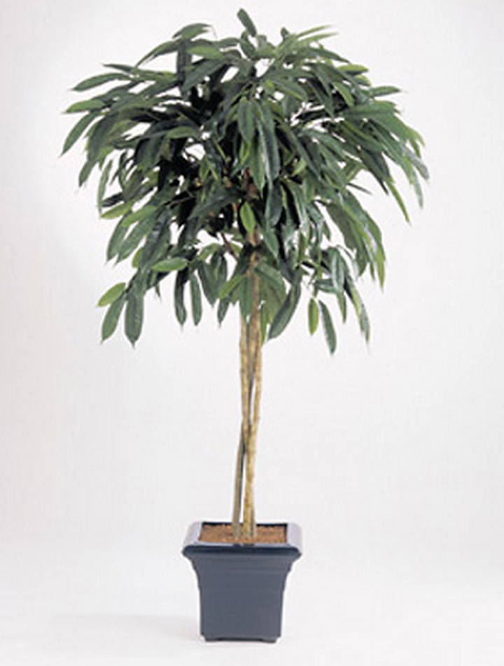 Ficus Longifolia 180 cm Kunstbaum | Palmenmarkt 